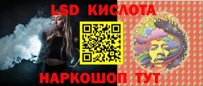 spice Камышлов